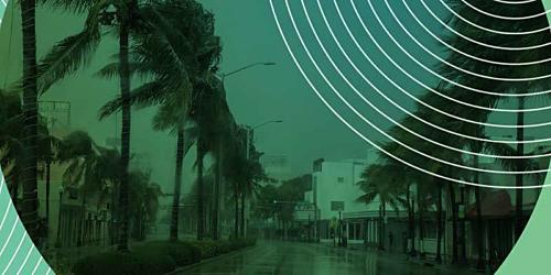 Construction Firm Conquers Hurricane Irma in a Day with Datto Networking
